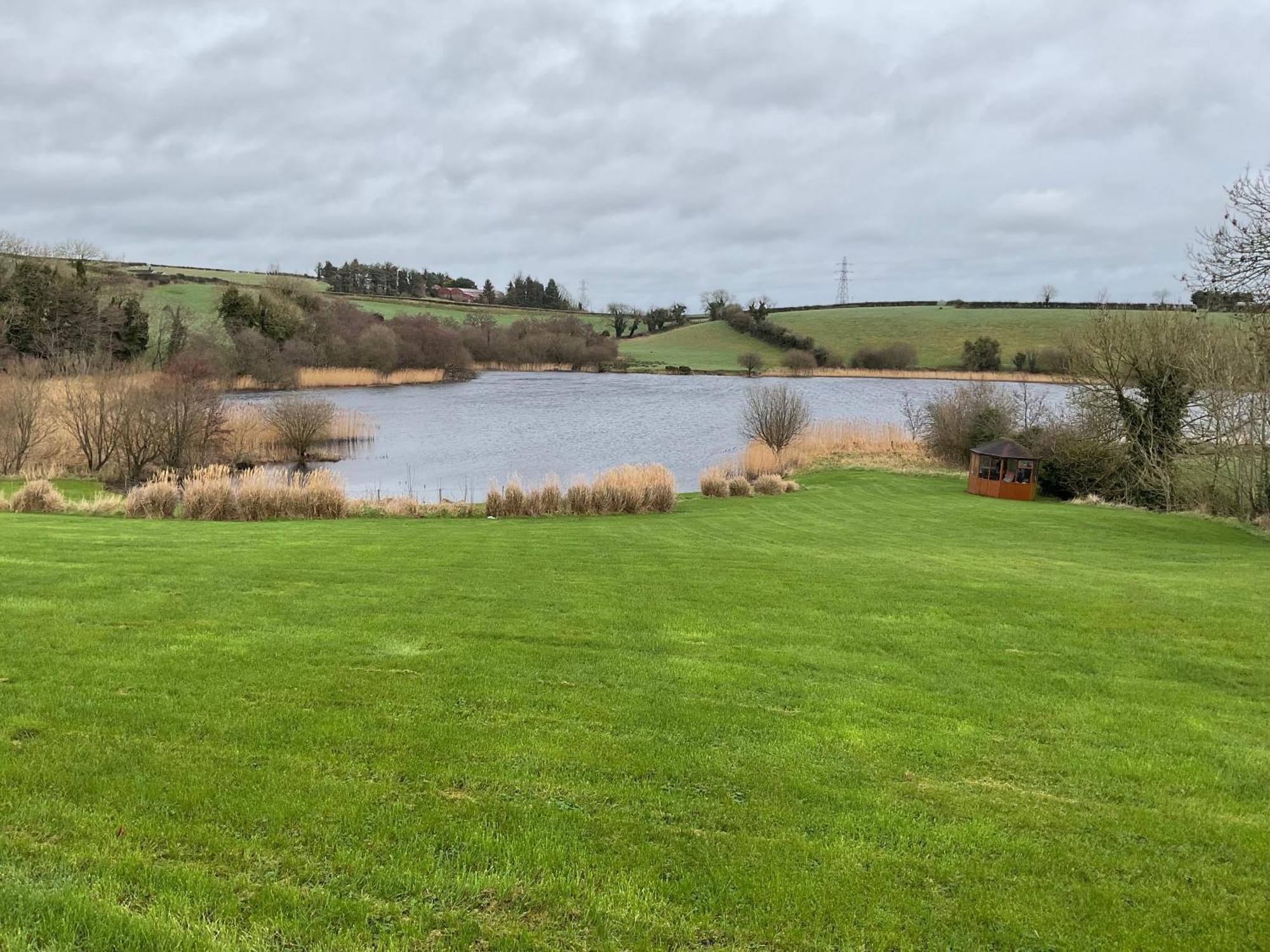 Lakeside House Ballynahinch Екстериор снимка